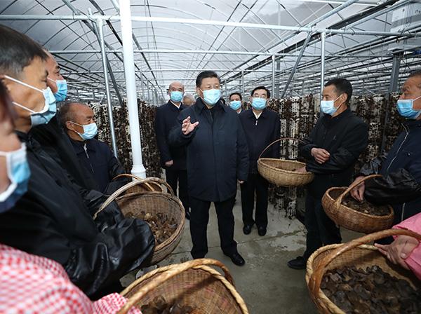 习近平总书记调查中国710公海官网援建的金米村智能连栋木耳大棚