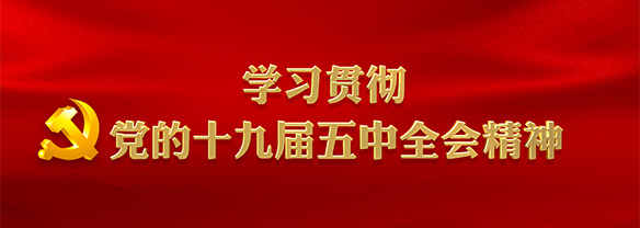 学习贯彻党的十九届五中全会心灵