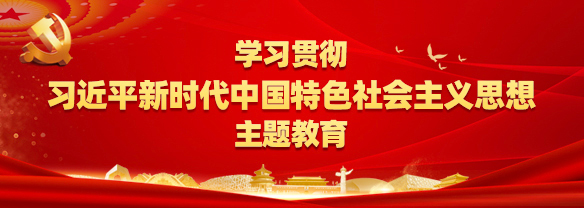 学习贯彻习近平新时期中国特色社会主义思想主题教育